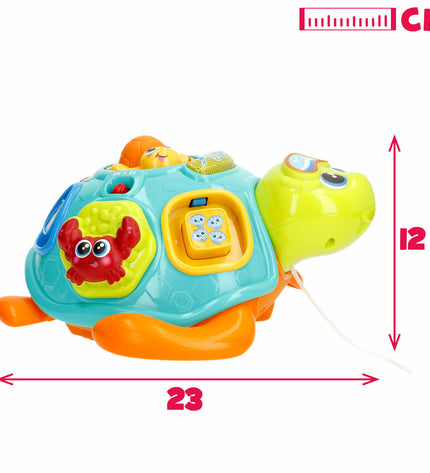 Two multicolored Winfun turtle baby toys, 23x12x23 cm, soft plush playthings for young children.