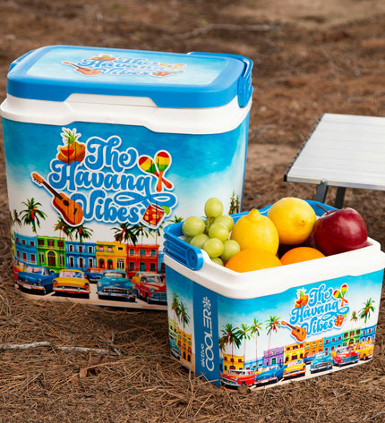 Six Aktive blue 5L portable hard coolers with plastic construction, suitable for outdoor camping and sporting activities.