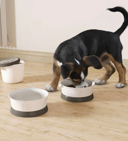 Set of six Curver plastic foldable dog bowls, 19x8x18 cm, lightweight and practical for feeding pets.