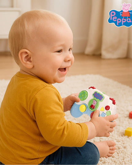 V2HE527F61D62EEA1A62FD7570B10084571R7170691P6