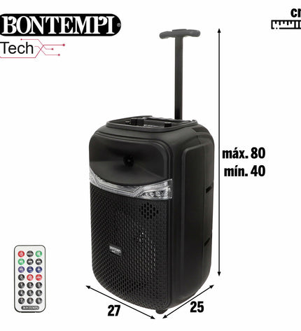 Bontempi electronic toy speakers with karaoke microphones, featuring colorful designs, set of two for kids' singing play.