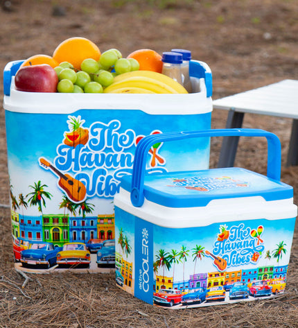 Two Aktive plastic coolers, 37x35x27cm, designed for outdoor camping and sports, showing their sturdy, insulated construction.