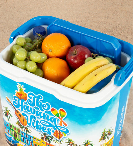 Two Aktive plastic cool boxes, 37x35x27 cm, suitable for camping and outdoor activities, shown in a natural outdoor setting.