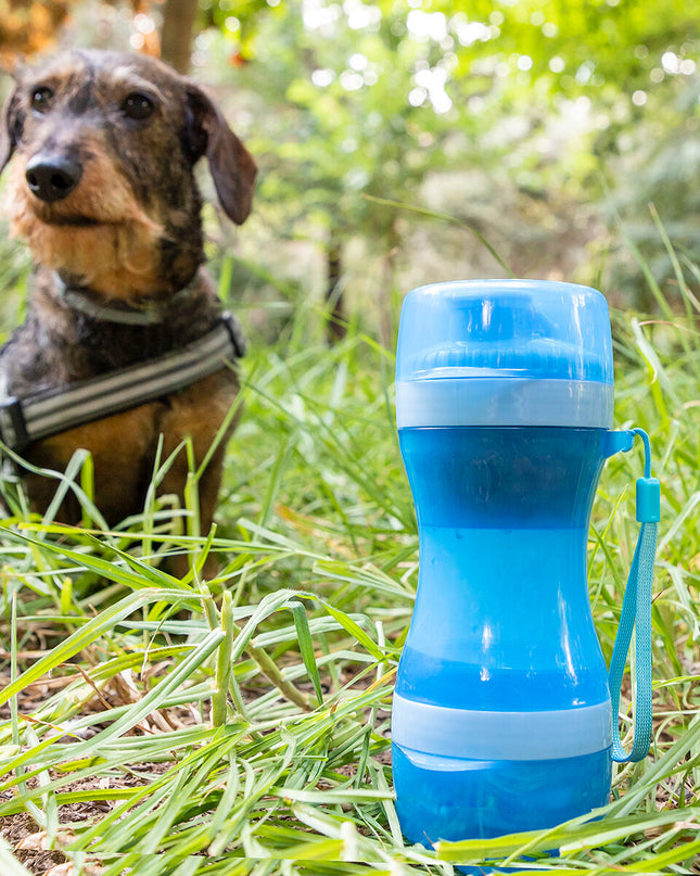 InnovaGoods Pettap 2-in-1 pet water and food feeder for small animals, featuring a combined bowl and water dispenser.